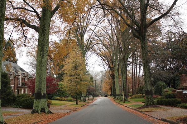 Oplev charmerende forstæder: tre attraktive boligområder nær København