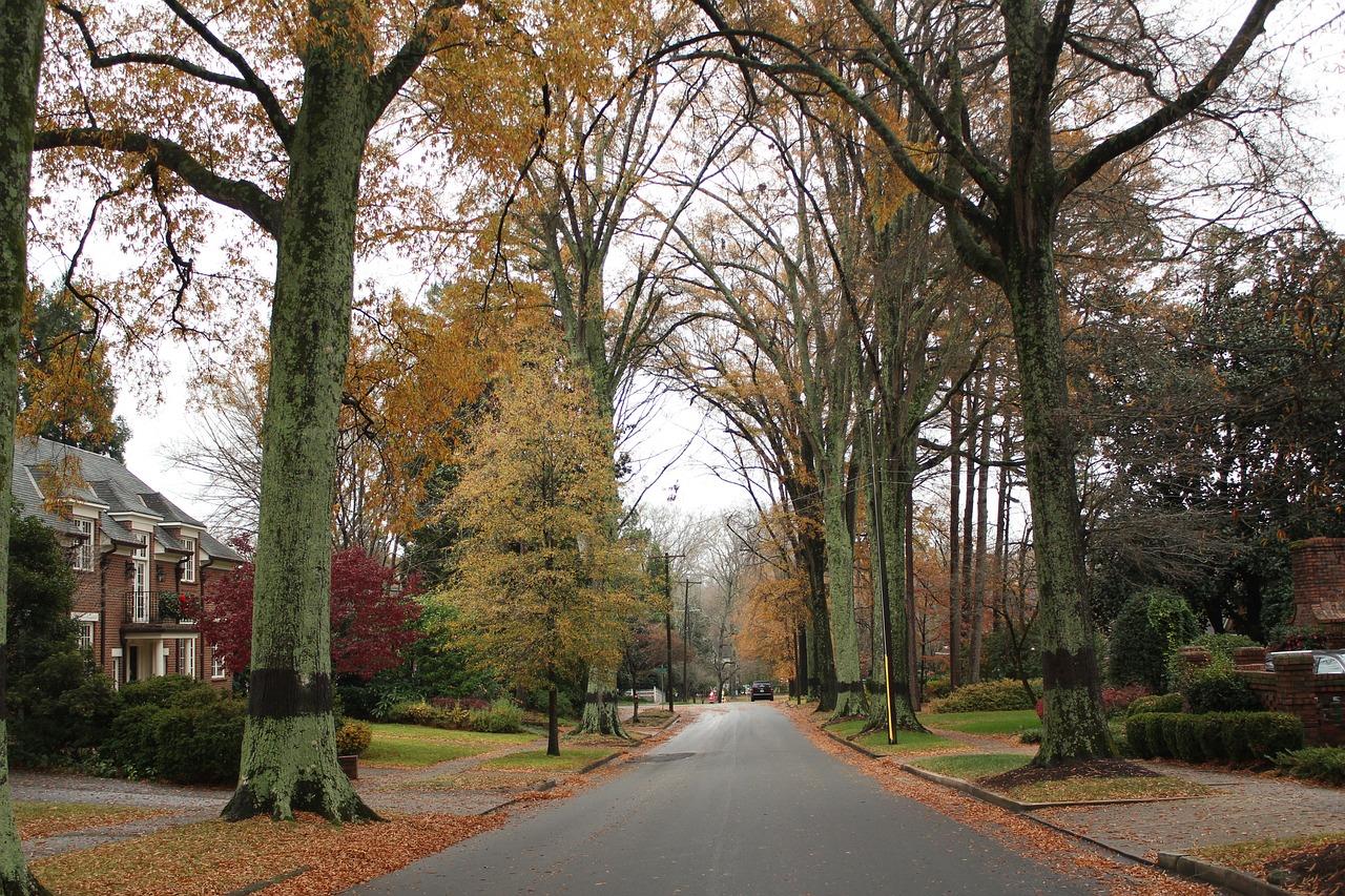 Oplev charmerende forstæder: tre attraktive boligområder nær København