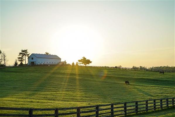 Tag imod hjælp, når du driver et landbrug