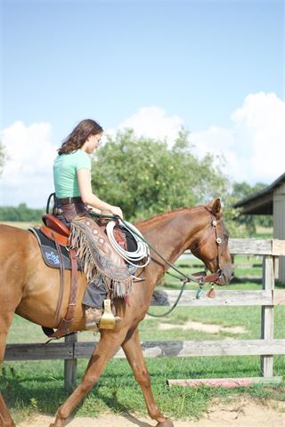 Bliv en bedre rytter med de helt rigtige ridebukser!