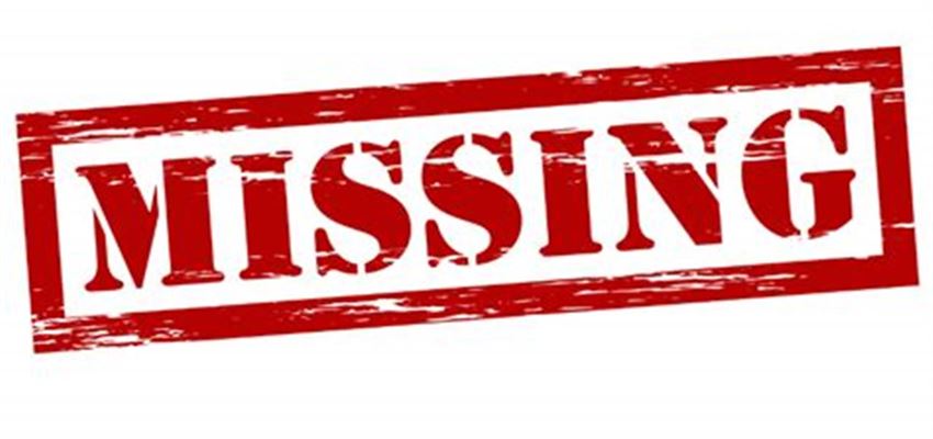 Hvad er automatiserede styresystemer?